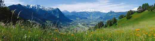Panorama of the Liechtenstein Alps and Rhine valley